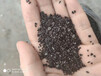 河南驻马店椰壳活性炭（1-2毫米）厂家
