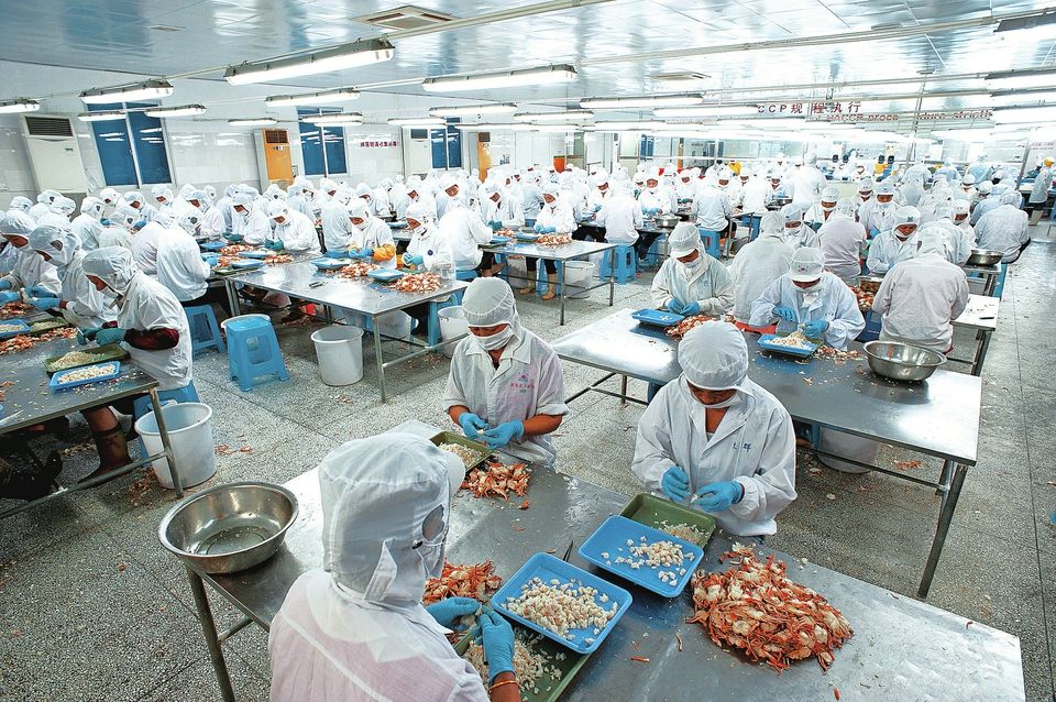 黄浦劳务公司哪家可靠，厨师出国打工，丹麦打工工资