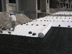 隧道復合排水板可定制新鐵標隧道排水板廠家