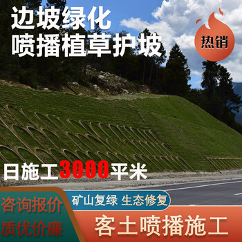 噴播植草礦山生態(tài)修復(fù)客土噴播施工高次團(tuán)粒噴播植被混凝土