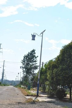 邢台品牌太阳能路灯