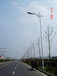 忻州廠家專賣路燈