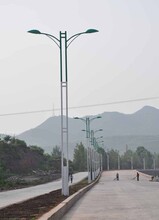广安城镇太阳能路灯图片