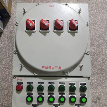 IIB/防爆BQX系列防爆星三角起動器IIBIICExtD