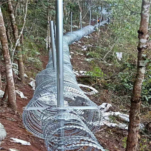 中山铁蒺藜隔离护栏-带刺围栏网