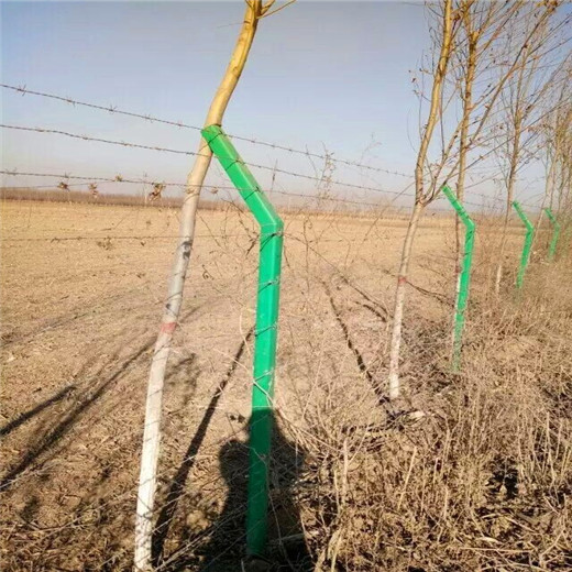 永州带刺隔离网-养猪畜牧钢绳网