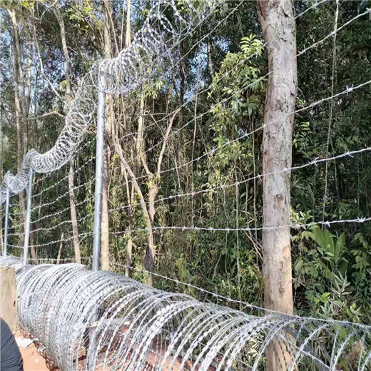 西安铁蒺藜隔离护栏-钢丝网防护网