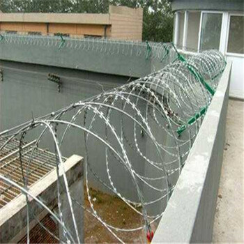 深圳钢网墙-刺绳防护网