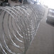 大理金属围墙网-隔离防护网