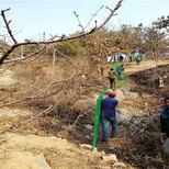 重庆城口铁艺场区栅栏-水库铁丝网图片1