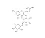  Chenguang Biology; Kaempferol-3-O-rutoside; 17650-84-9