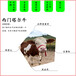 红白花片的西门塔尔牛小母牛五百斤的现在什么价钱