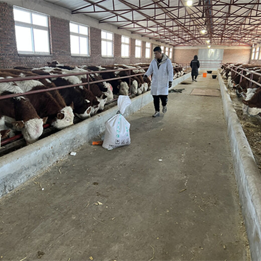 西门塔尔成年母牛全国发货一千斤至一千一百斤的多少钱一头2022已更新(今日/动态)