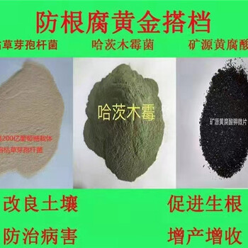 微生物菌劑防根腐套餐（哈茨木霉菌枯草芽孢桿菌礦源黃腐酸鉀