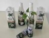海南椰奶椰子汁椰汁植物蛋白饮料