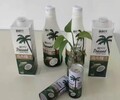 海南椰奶椰子汁椰汁植物蛋白饮料