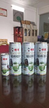泰式生榨椰子汁植物蛋白飲料980ml×6