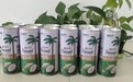 生榨椰子汁椰漿植物蛋白飲品飲料罐裝整箱245ml椰奶24罐