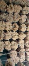 污水生化系统中曝气池大量白色泡沫如何处理？