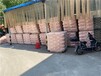 石家庄耐火砖，耐火水泥，耐火土，耐火砂批发，零售