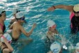 2022年菏泽市中小学生暑假游泳培训开始招生了