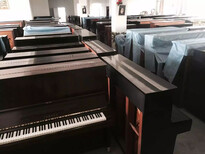 蘇州買鋼琴租鋼琴就找昆山指精靈琴行價格實惠圖片3