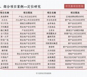 广东省河源市新建项目节能评估报告/可研报告dai写