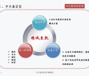 周口市要注意项目可行性研究报告/市场调研报告/ppt