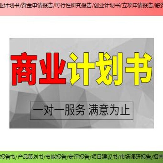 双峰县新建项目资金申请报告/融资报告2024案例