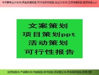 嘉兴市投资亮点项目资金申请报告/项目建议书/ppt制作图片4