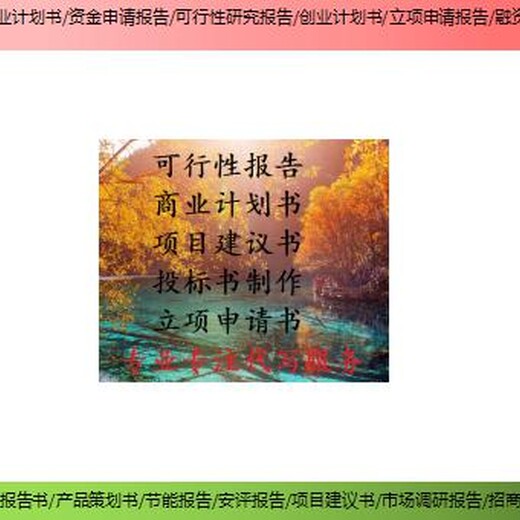 分宜县项目节能报告商业计划书模板