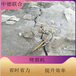 锦州市岩石劈裂棒矿山开采矿山岩石开采劈裂机施工现场