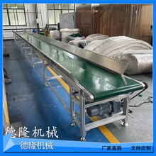 宁津德隆厂家定制耐寒耐磨橡胶皮带输送机水平皮带流水线