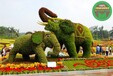 黔西南草雕花雕綠雕，2022年綠雕，綠雕圖片