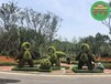 开化立体绿化，2022春节绿雕，广场大花篮