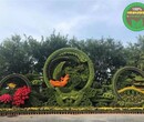 吴江五色草绿雕，2022春节植物雕塑，春节绿雕图片