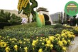 同仁火车站绿雕，2022春节立体花坛，绿化景观