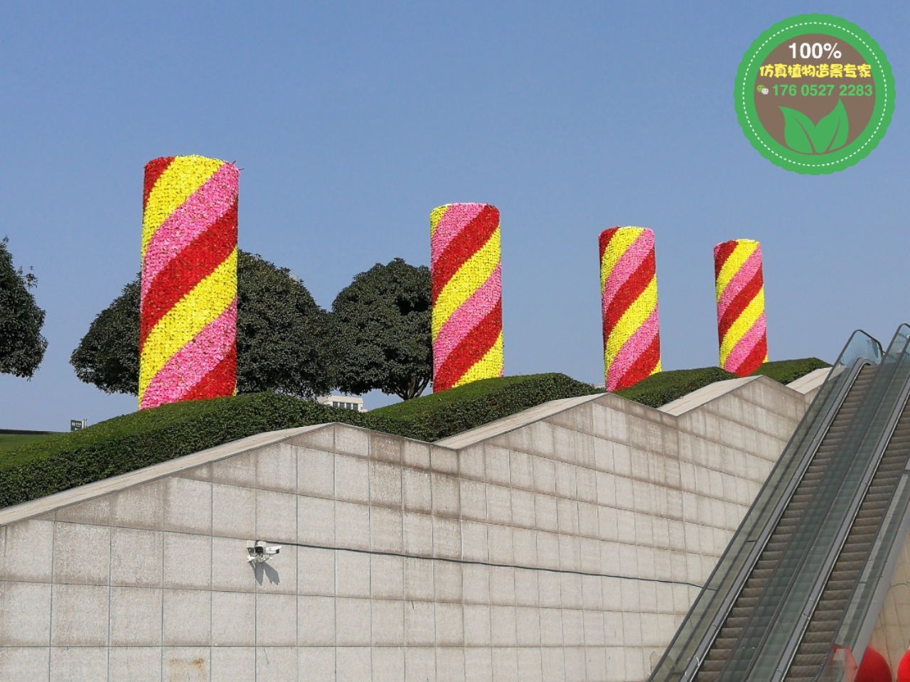 柘榮菊展綠雕，2022圣誕節(jié)綠雕，園林綠化