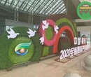 雅江动物绿雕，2022圣诞节绿雕，园林绿化