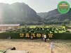 南岳国庆大花篮，虎年五色草造型，绿雕设计