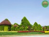 阳明园林绿雕，2022春节立体花坛，绿雕制作