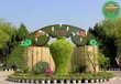 沾化铁艺花球花瓶花塔花树，2022年绿雕，立体花坛