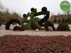 吉林五色草造型綠雕，虎年綠雕，主題花雕