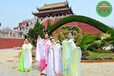 立山菊花展览，2022虎年春节绿雕，景观造型