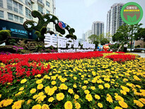 安化仿真植物绿雕，2022春节植物雕塑，绿化景观图片0
