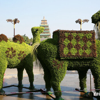 包河植物雕塑制作工艺，仿真草坪