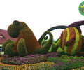 呼瑪花壇雕塑，虎年五色草造型，廣場大花籃