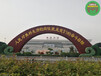 平阴2024春节绿雕生产厂家，景观小品设计