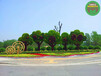 昌图节庆绿雕生产多图，景区迷宫造型