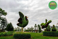 秦皇島節日景觀綠雕，2022春節綠雕，主題花雕
